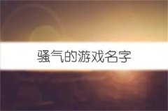 ​骚气的游戏名字男生六个字？比较骚气的游戏名字？